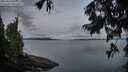 ./images/koeye/fitz-hugh/20250819/fitz-hugh20250819_061011M.jpg