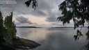 ./images/koeye/fitz-hugh/20250819/fitz-hugh20250819_063010M.jpg