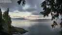 ./images/koeye/fitz-hugh/20250819/fitz-hugh20250819_065510M.jpg