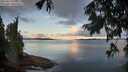 ./images/koeye/fitz-hugh/20250819/fitz-hugh20250819_071009M.jpg