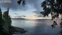 ./images/koeye/fitz-hugh/20250819/fitz-hugh20250819_072011M.jpg