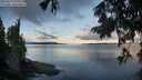 ./images/koeye/fitz-hugh/20250819/fitz-hugh20250819_072511M.jpg
