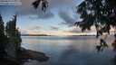 ./images/koeye/fitz-hugh/20250819/fitz-hugh20250819_073011M.jpg