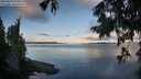 ./images/koeye/fitz-hugh/20250819/fitz-hugh20250819_073511M.jpg