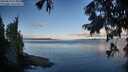 ./images/koeye/fitz-hugh/20250819/fitz-hugh20250819_074010M.jpg