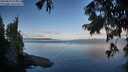 ./images/koeye/fitz-hugh/20250819/fitz-hugh20250819_075012M.jpg