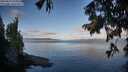 ./images/koeye/fitz-hugh/20250819/fitz-hugh20250819_075510M.jpg