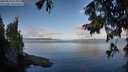 ./images/koeye/fitz-hugh/20250819/fitz-hugh20250819_080010M.jpg