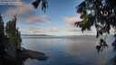 ./images/koeye/fitz-hugh/20250819/fitz-hugh20250819_080510M.jpg