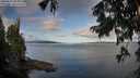 ./images/koeye/fitz-hugh/20250819/fitz-hugh20250819_082514M.jpg