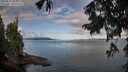 ./images/koeye/fitz-hugh/20250819/fitz-hugh20250819_083012M.jpg
