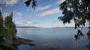 ./images/koeye/fitz-hugh/20250819/fitz-hugh20250819_084511M.jpg