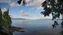 ./images/koeye/fitz-hugh/20250819/fitz-hugh20250819_085011M.jpg