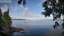 ./images/koeye/fitz-hugh/20250819/fitz-hugh20250819_085510M.jpg
