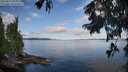 ./images/koeye/fitz-hugh/20250819/fitz-hugh20250819_090012M.jpg