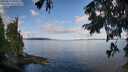 ./images/koeye/fitz-hugh/20250819/fitz-hugh20250819_090509M.jpg