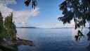 ./images/koeye/fitz-hugh/20250819/fitz-hugh20250819_093011M.jpg