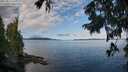 ./images/koeye/fitz-hugh/20250819/fitz-hugh20250819_094011M.jpg