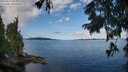 ./images/koeye/fitz-hugh/20250819/fitz-hugh20250819_095011M.jpg