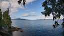 ./images/koeye/fitz-hugh/20250819/fitz-hugh20250819_095510M.jpg