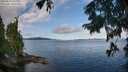 ./images/koeye/fitz-hugh/20250819/fitz-hugh20250819_100012M.jpg