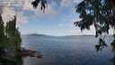 ./images/koeye/fitz-hugh/20250819/fitz-hugh20250819_102008M.jpg