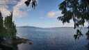 ./images/koeye/fitz-hugh/20250819/fitz-hugh20250819_102513M.jpg