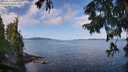 ./images/koeye/fitz-hugh/20250819/fitz-hugh20250819_103012M.jpg