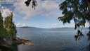 ./images/koeye/fitz-hugh/20250819/fitz-hugh20250819_103509M.jpg