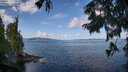 ./images/koeye/fitz-hugh/20250819/fitz-hugh20250819_104511M.jpg