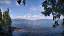 ./images/koeye/fitz-hugh/20250819/fitz-hugh20250819_105509M.jpg