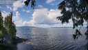 ./images/koeye/fitz-hugh/20250819/fitz-hugh20250819_113012M.jpg