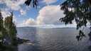 ./images/koeye/fitz-hugh/20250819/fitz-hugh20250819_113511M.jpg