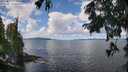 ./images/koeye/fitz-hugh/20250819/fitz-hugh20250819_114511M.jpg