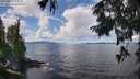 ./images/koeye/fitz-hugh/20250819/fitz-hugh20250819_115010M.jpg