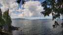 ./images/koeye/fitz-hugh/20250819/fitz-hugh20250819_120511M.jpg