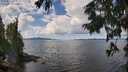 ./images/koeye/fitz-hugh/20250819/fitz-hugh20250819_121011M.jpg