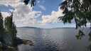 ./images/koeye/fitz-hugh/20250819/fitz-hugh20250819_131010M.jpg