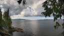./images/koeye/fitz-hugh/20250819/fitz-hugh20250819_134011M.jpg