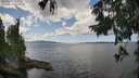 ./images/koeye/fitz-hugh/20250819/fitz-hugh20250819_140008M.jpg