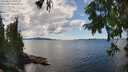 ./images/koeye/fitz-hugh/20250819/fitz-hugh20250819_142011M.jpg