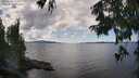 ./images/koeye/fitz-hugh/20250819/fitz-hugh20250819_143011M.jpg