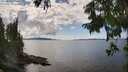 ./images/koeye/fitz-hugh/20250819/fitz-hugh20250819_144511M.jpg