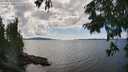 ./images/koeye/fitz-hugh/20250819/fitz-hugh20250819_150011M.jpg
