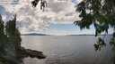 ./images/koeye/fitz-hugh/20250819/fitz-hugh20250819_150510M.jpg