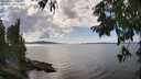 ./images/koeye/fitz-hugh/20250819/fitz-hugh20250819_151011M.jpg