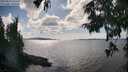 ./images/koeye/fitz-hugh/20250819/fitz-hugh20250819_161511M.jpg