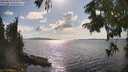 ./images/koeye/fitz-hugh/20250819/fitz-hugh20250819_164512M.jpg