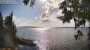 ./images/koeye/fitz-hugh/20250819/fitz-hugh20250819_165510M.jpg