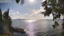 ./images/koeye/fitz-hugh/20250819/fitz-hugh20250819_170010M.jpg